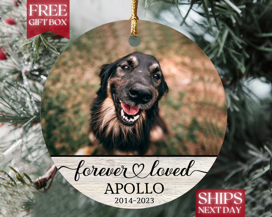 Buy Custom Dog Memorial Ornament With Photo, Pet Remembrance, Christmas ...