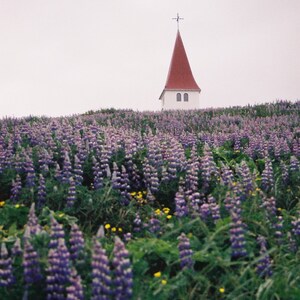 Vik Iceland Church
