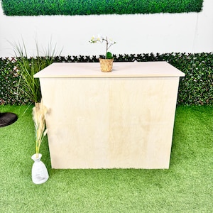 May include: A light-coloured wooden bar with a flat top and angled sides. A small potted orchid sits on top. The bar is set on a green surface with decorative plants and a white wall in the background.