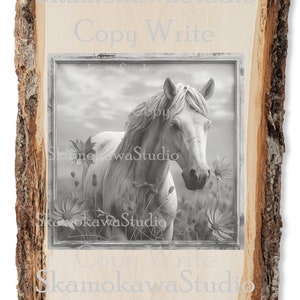 May include: A black and white photo of a white horse standing in a field of wildflowers. The horse is looking to the right, and the flowers are in bloom. The photo is framed in a rustic wooden frame.