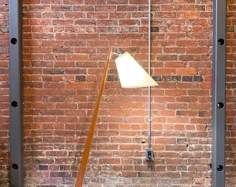 1960s Vintage Teak and Iron Floor Lamp