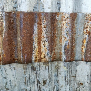 Rusty Corrugated Metal Sheet: Salvaged Barn Tin, Wall Decor (12