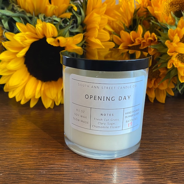 Opening Day Candle, Baltimore Gifts, Mothers Day Gift, Gift for Mom, Baseball Lover Gift, Baltimore Orioles Gifts, Grass, Fresh, Orioles