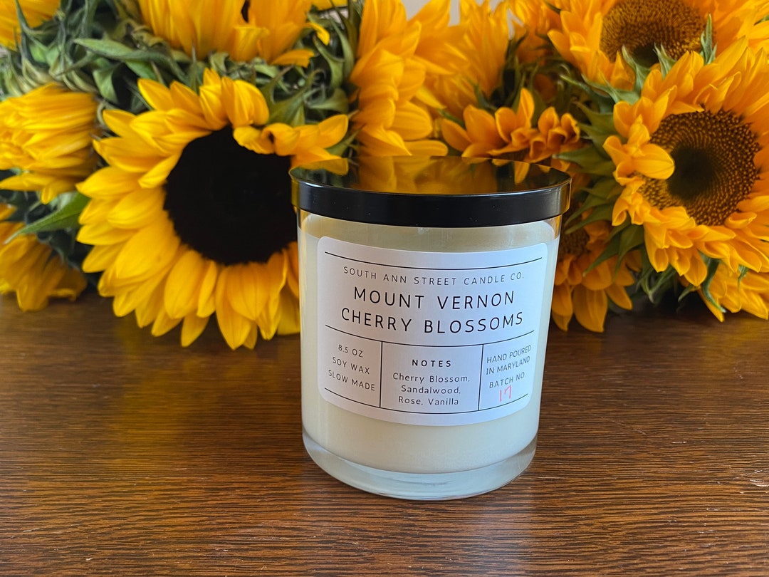 Mount Vernon Cherry Blossoms Candle, Baltimore Gift, Holiday Gift