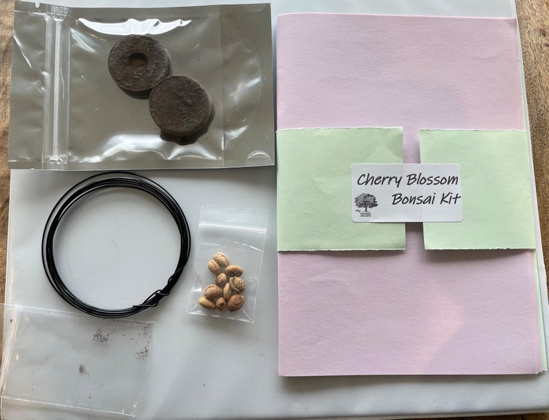 DIY Cherry Blossom Bonsai Tree Kit Feng Shui Garden Flower Plant Etsy