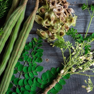 May include: A close-up of moringa plant parts, including green pods, leaves, flowers, and seeds. The plant parts are arranged on a rustic wooden surface.
