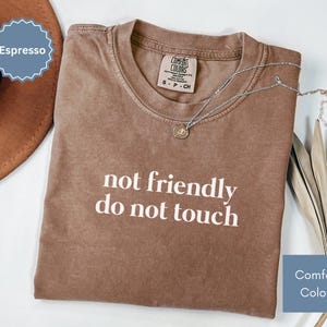 Comfort Colors® Funny Humor Shirt, Sarcastic Shirt, Not Friendly Do No Touch Shirt, Funny Quote Shirt, Sarcasm Shirt, Trendy Shirt for Women