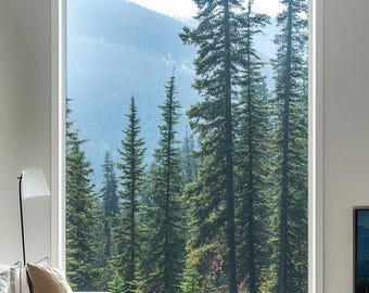 Custom Size Scenic Frosted Glass Film Featuring Towering Pine Trees – Perfect for Living Room Windows to Create a Peaceful Forest Retreat