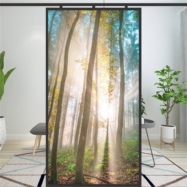 Privacy Window Film Etsy