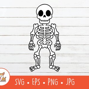 Skeleton Clipart, Skeleton SVG, Vector Skeleton Cut File For Cricut, PNG, EPS, Instant Digital Download