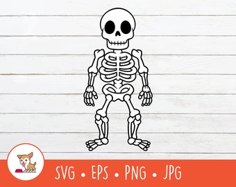Skelett Clipart, skelett SVG, vektor skelett klippfil för Cricut, PNG, EPS, omedelbar digital nedladdning
