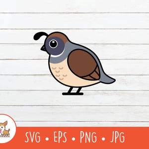 Può includere: Un'illustrazione a cartoni animati di una quaglia con occhio, becco e zampe neri. L'uccello ha un corpo marrone, ali grigie e un ciuffo nero sulla testa. L'immagine include il testo "SVG • EPS • PNG • JPG" in un banner arancione.