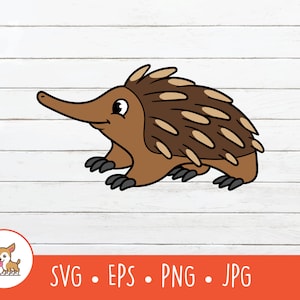 Dessin animé échidné clipart, échidné SVG, fichier vectoriel échidné coupé pour Cricut, PNG, EPS, téléchargement immédiat
