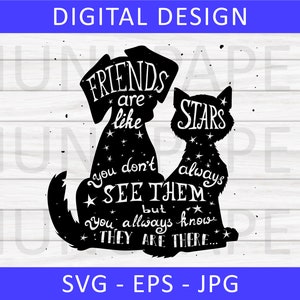 Freunde sind wie Sterne SVG, passende Hund und Katze Bestfriends SVG, süße Tierliebhaber PNG, Freunde Zitat sofortiger digitaler Download