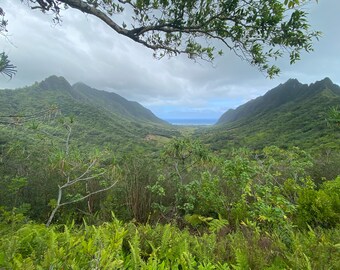 Landscape Custom Paintings