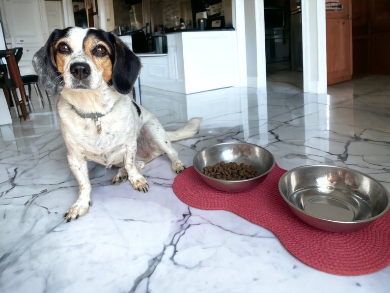 May include: A small, white and brown dog with black ears sits on a white marble floor. Two stainless steel dog bowls are on a red mat. One bowl contains brown dog food.