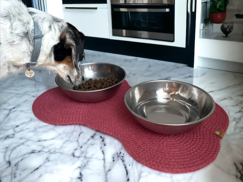 May include: A dog with a name tag that says "Lily" is eating from a stainless steel dog bowl on a pink and white woven mat. The bowl is on a white marble floor.