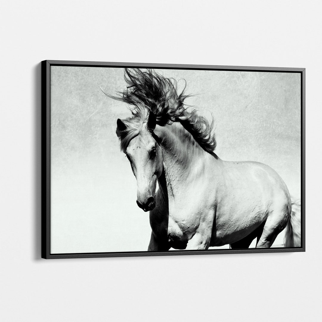 Black and White Horse Canvas Art - Majestic Wild Stallion Wall Decor ...