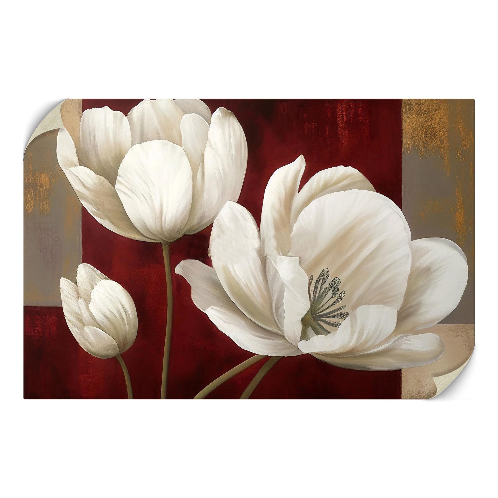Classic White Tulip Canvas Art - Elegant Floral Wall Decor With Deep ...