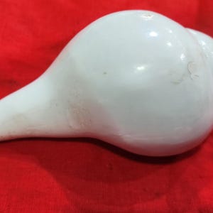 May include: A white conch shell, also known as a shankh, is a traditional Hindu religious artifact. It is often used in ceremonies and rituals.