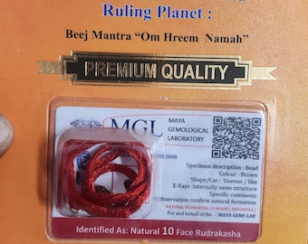 natural 10mukhi /ten face rudraksha /rudrakasha /authentic lab certified bead ,premium symbol of -lord vishnu