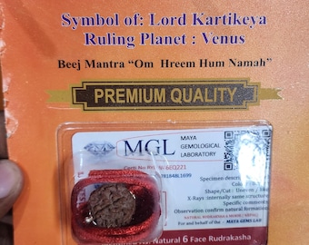 natural 6mukhi /six face rudraksha /rudrakasha /authentic lab certified bead ,premium symbol of -lord kartikeya ruling planet venus