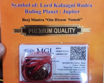 natural 5mukhi /five face rudraksha /rudrakasha /authentic lab certified bead ,premium symbol of -lord kalaagni rudra  ruling planet jupitar