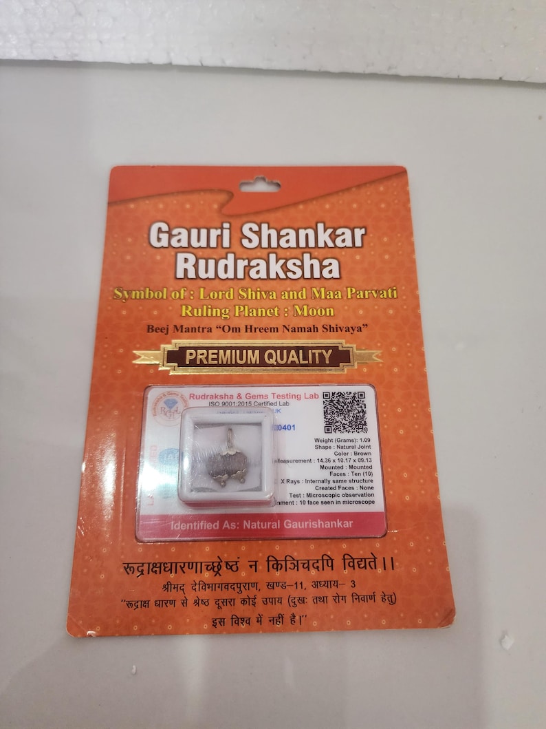 Gaurishankar Rudraksh Bead , Authentic Gourishankar Rudraksh From ...