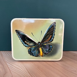 Può includere: Una scatola di metallo vintage di forma rettangolare arrotondata. Il coperchio presenta un'illustrazione dettagliata di una farfalla con ali blu, nere e gialle su uno sfondo verde chiaro e beige. La scatola ha un bordo bianco.