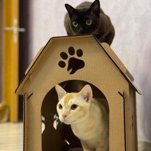 Eco-kattenhuis gemaakt van golfkarton, (op de speelplaats)