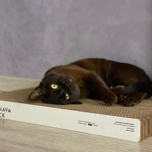 Kratzbaum aus Wellpappe für innenliegende Katzen, Katzenkratzbrett, Katzenkratzbrett