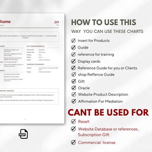 May include: A white document labelled "Shame" with details on abandonment, including manifestations, key correspondences, and environmental guidance. It also lists permitted and prohibited uses of the charts.