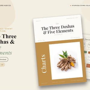 May include: A digital wall chart collection titled The Three Doshas & Five Elements by Healers Hub Co. The document features ochre and cream color schemes, text detailing Ayurvedic concepts, and a central image of turmeric roots with green leaves.