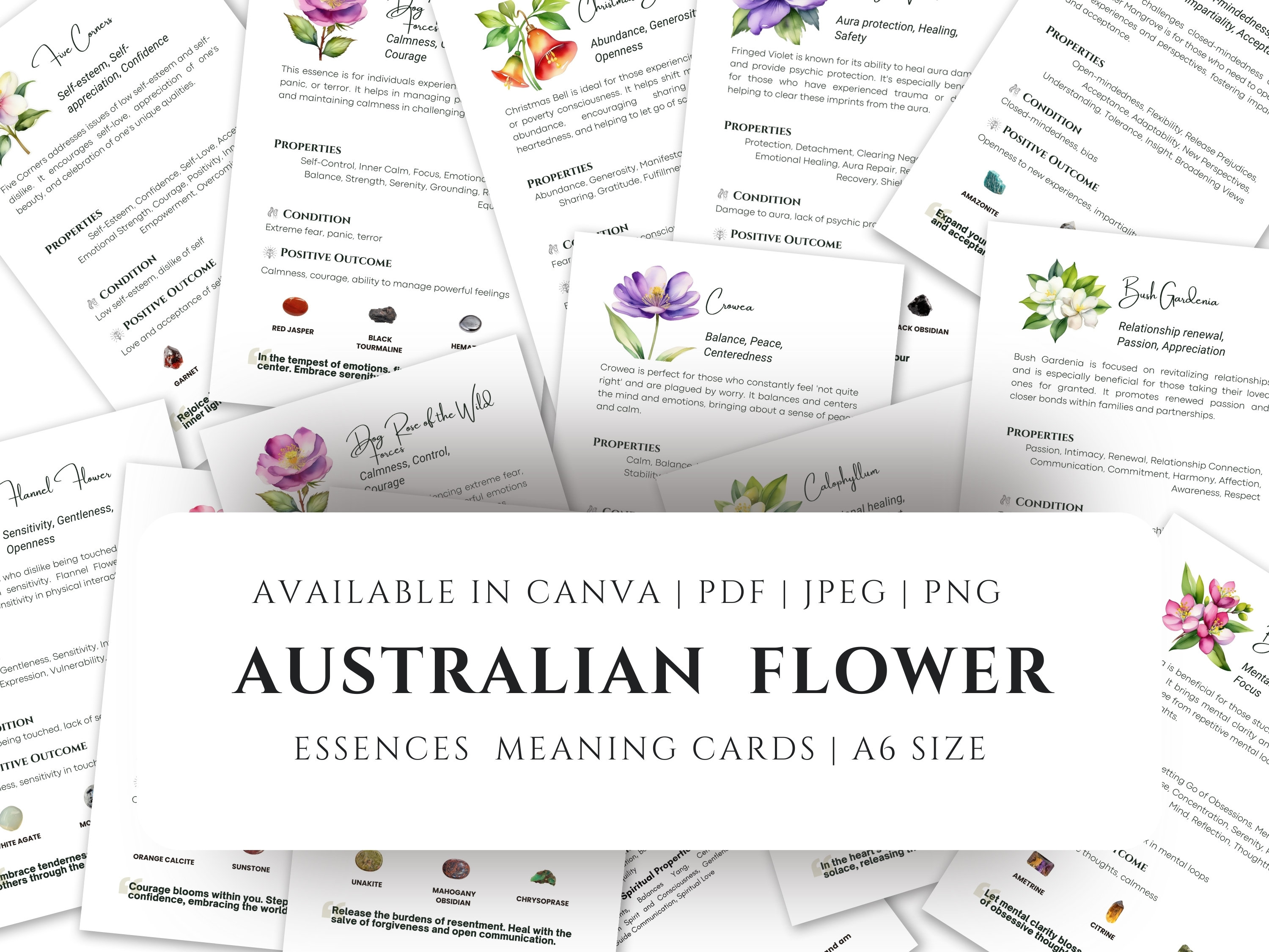 Australian Bush Flower Essences Meaning Cards: Apothecary Herbalism (A6 Size) (Editable Canva Template)