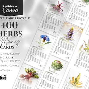 Könnte beinhalten: Eine Sammlung von 400 Kräuter-Bedeutungskarten, editierbar und druckbar, mit botanischen Illustrationen und Informationen. Die Karten sind in JPG, PNG, PDF und Canva-Vorlagen erhältlich. Jede Karte ist ca. 5,08 cm x 8,89 cm groß.