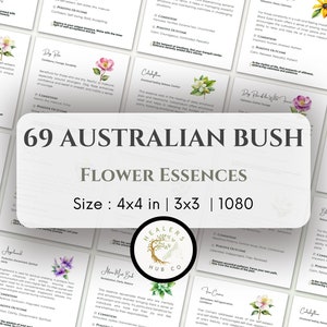 69 modelli di biglietti di auguri con essenze floreali australiane, formato 1080, modificabili e stampabili. Biglietti di guarigione, biglietti di auguri con essenze floreali, formato 1080