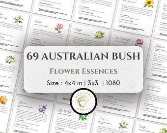 69 Australian Bush Flower Essences 1080 size Card Templates - Editable & Printable. Remedy Healing Cards, Flower Essence Cards 1080 sdize