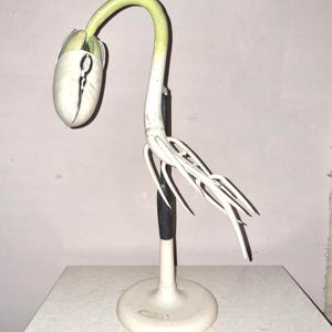Vintage botanical model. Rare celluloid model. Collection. Botany