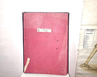 Vintage Botany Collection. Herbarium.