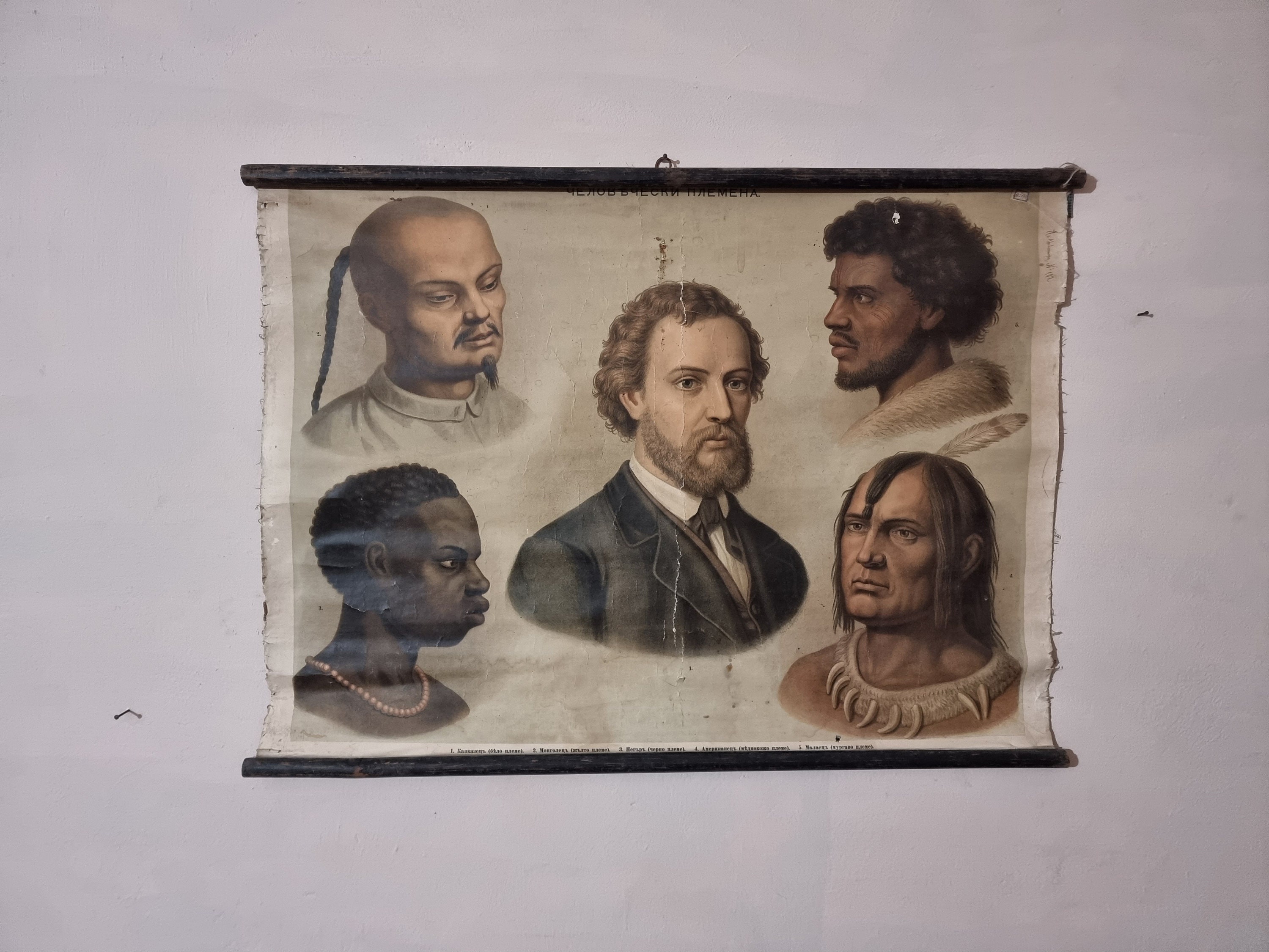 Vintage Wall School Chart. Human Races - Etsy