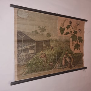 Gráfico escolar vintage - Alemania
