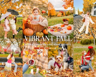 10 VIBRANT FALL Lightroom Presets, Mobile & Desktop Presets,  Autumn Presets, Pumpkin Harvest Presets, Family Presets, Colorful Presets