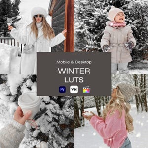 10 Winter LUTs,Christmas LUTs,Video Presets,Premiee Pro LUTs,VN LUTs,Final Cut Pro LUTs,Video Filter,Bright LUTs,Video Editing,Color Grading