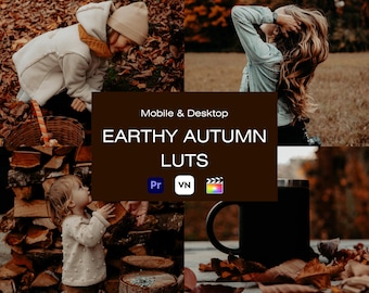10 LUT de vídeo con un toque otoñal terroso, filtros de otoño melancólico, gradación de color de vídeo, Premiere Pro, Final Cut Pro, LUT de Da Vinci, LUT de VN, filtros de vídeo