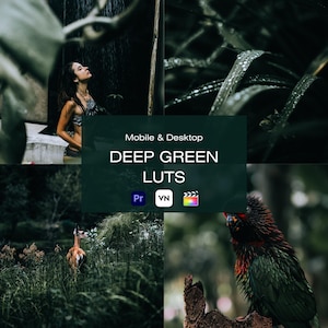 Puede incluir: Un collage de imágenes con una gradación de color verde intenso. Las imágenes incluyen una persona en una cascada, primeros planos de hojas, un ciervo en un bosque y un ave colorida. El texto en la imagen dice "Mobile & Desktop DEEP GREEN LUTS".