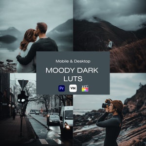 10 Moody Dark Video LUTs, Filmische Dark LUTs, Dunkle LUTs, PREMIERERE Pro, VN LUTs, Da Vinci LUTs, Color Grading Video Filter, Filmische Video LUTs