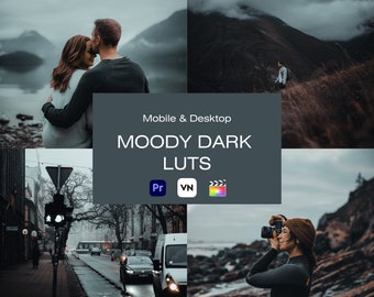 10 Moody Dark Video LUTs, Filmische Dark LUTs, Dunkle LUTs, PREMIERERE Pro, VN LUTs, Da Vinci LUTs, Color Grading Video Filter, Filmische Video LUTs