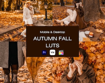 Paquete de 10 LUT de vídeo de otoño: LUT cinematográficas de otoño cálido para Premiere Pro, DaVinci Resolve y VN