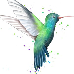 May include: A green and blue hummingbird with a long, thin beak is flying with its wings spread. The background is white with colorful paint splatters.