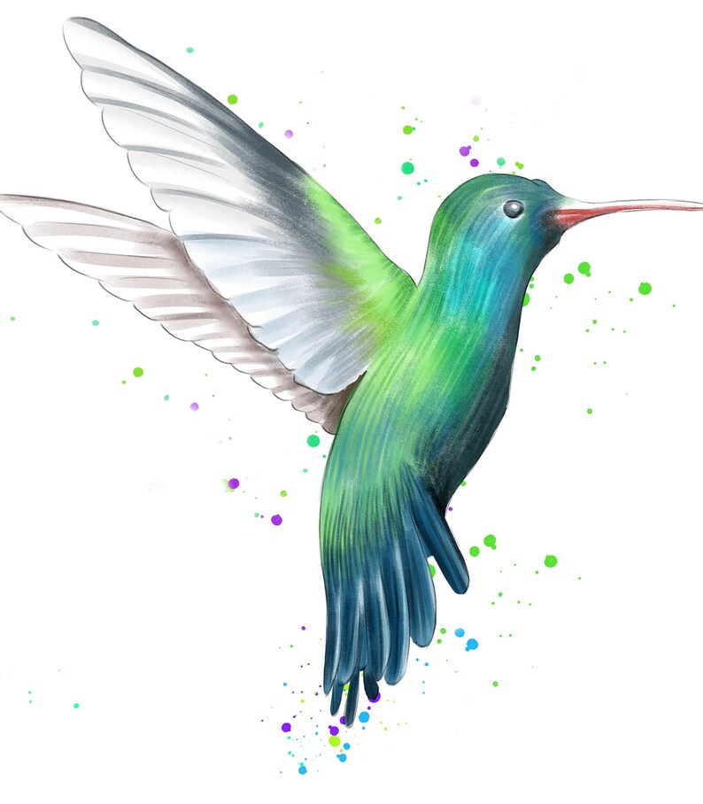 May include: A green and blue hummingbird with a long, thin beak is flying with its wings spread. The background is white with colorful paint splatters.